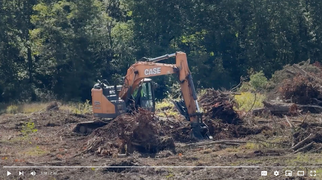 An orange CASE crawler excavator clears land by digging up large tree roots, stumps, and dirt in a partially cleared field with dense green trees in the background.